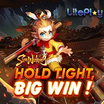 liteplay image